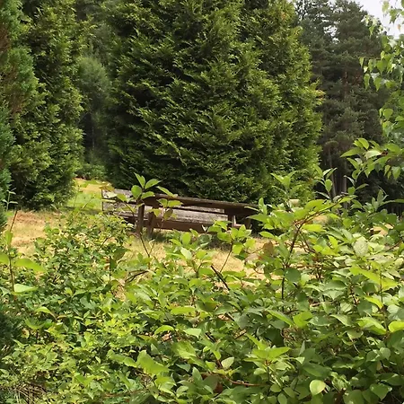 In The Black Forest With Sauna Berneck