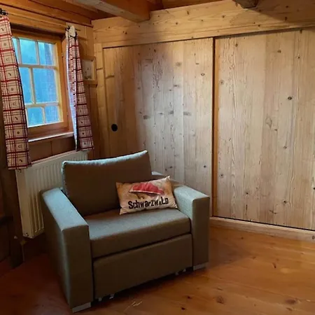 In The Black Forest With Sauna Holiday home *