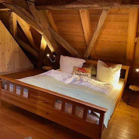 In The Black Forest With Sauna Holiday home *