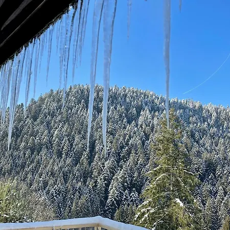 Holiday home In The Black Forest With Sauna *