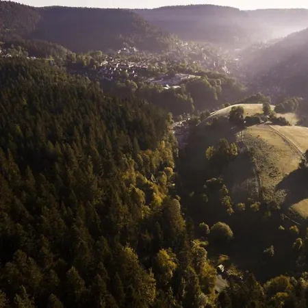 別荘 In The Black Forest With Sauna Berneck