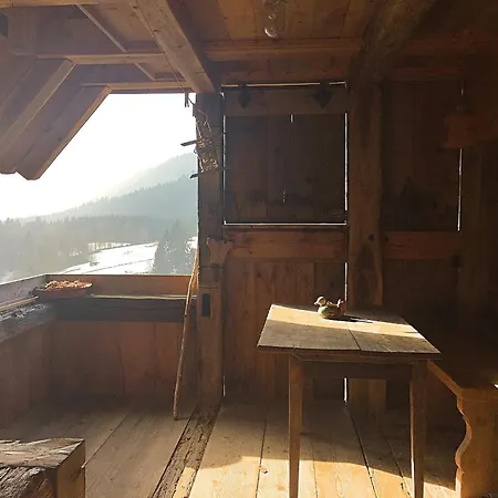 In The Black Forest With Sauna 別荘