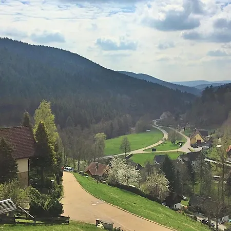 In The Black Forest With Sauna 別荘