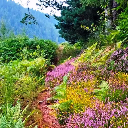 度假居 Charmantes, Einladendes In Toller Berneck