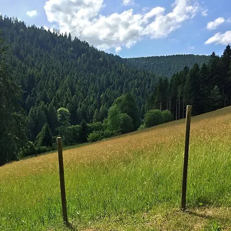 Charmantes, Einladendes In Toller *