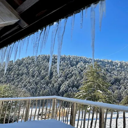 Charmantes, Einladendes In Toller 度假居 *